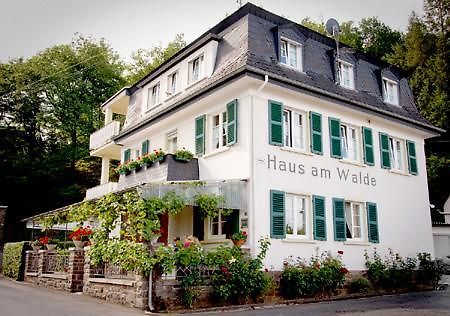Pension "Haus Am Walde" Brodenbach, Mosel Kültér fotó