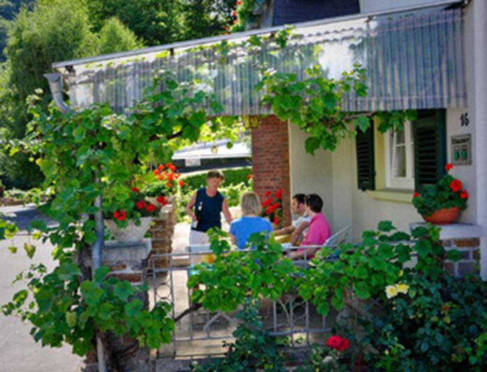 Pension "Haus Am Walde" Brodenbach, Mosel Kültér fotó