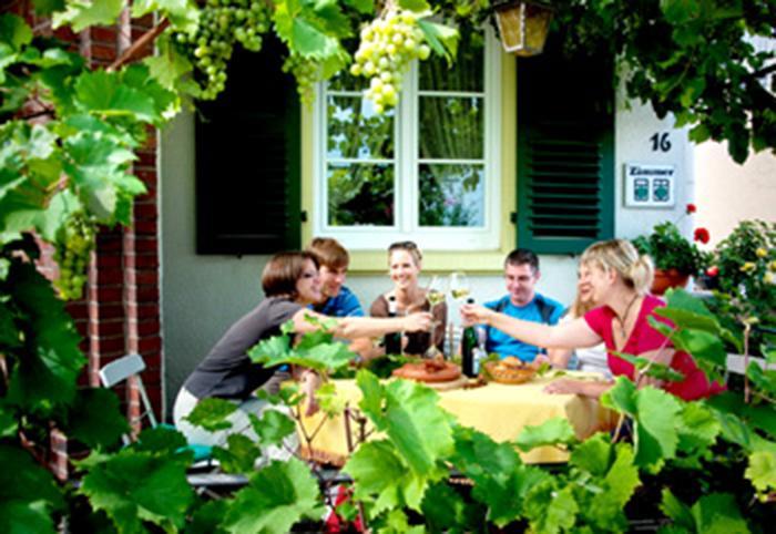 Pension "Haus Am Walde" Brodenbach, Mosel Kültér fotó