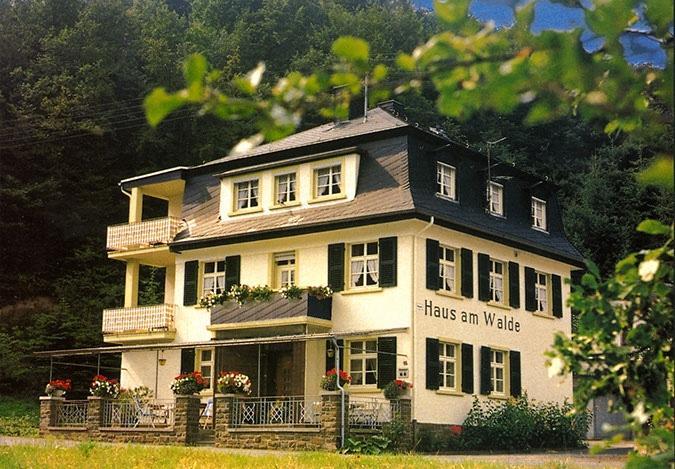 Pension "Haus Am Walde" Brodenbach, Mosel Kültér fotó
