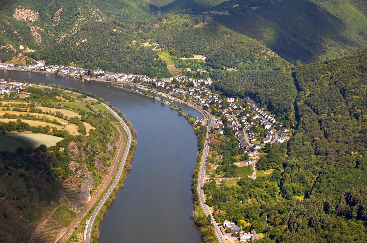 Pension "Haus Am Walde" Brodenbach, Mosel Kültér fotó