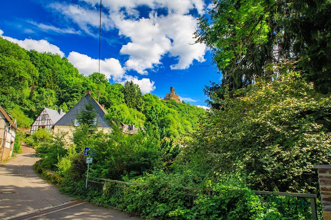 Pension "Haus Am Walde" Brodenbach, Mosel Kültér fotó