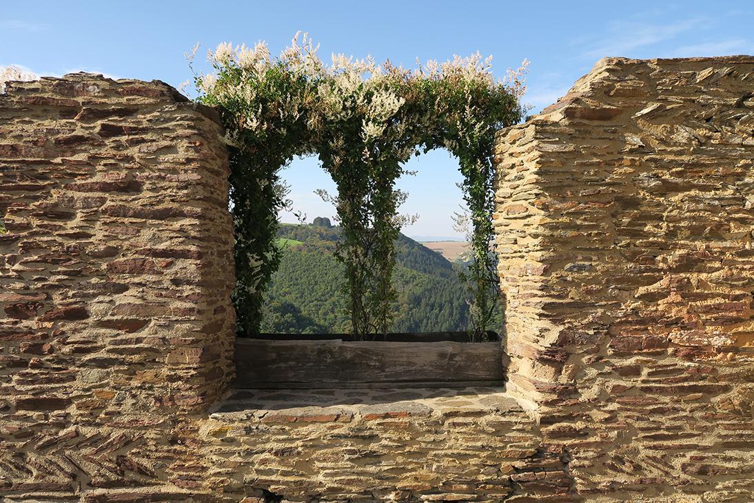 Pension "Haus Am Walde" Brodenbach, Mosel Kültér fotó
