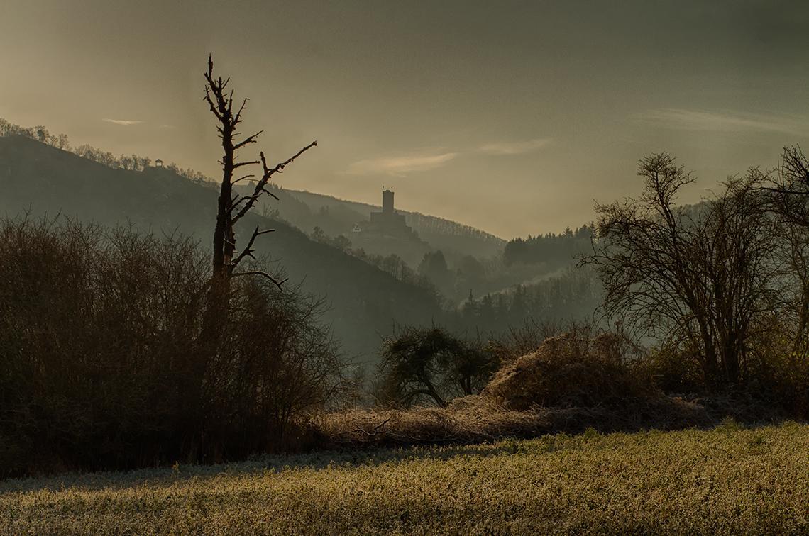 Pension "Haus Am Walde" Brodenbach, Mosel Kültér fotó