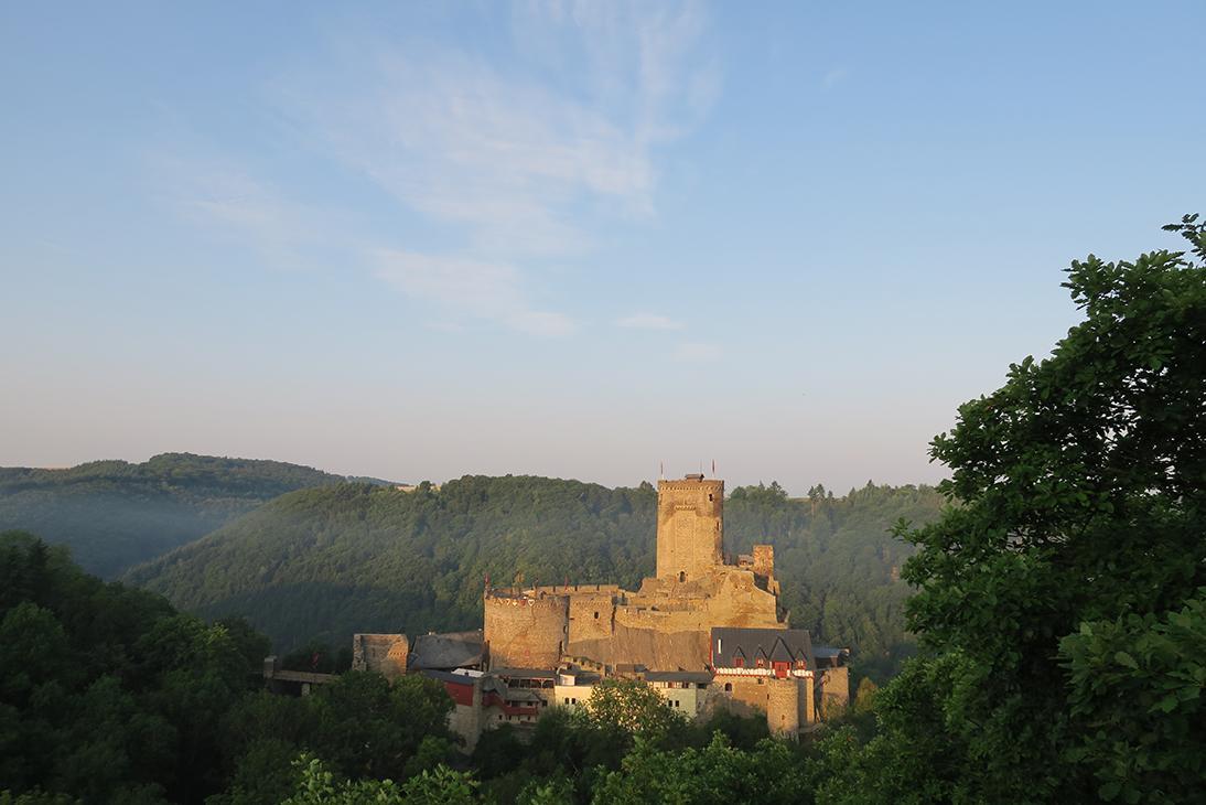 Pension "Haus Am Walde" Brodenbach, Mosel Kültér fotó