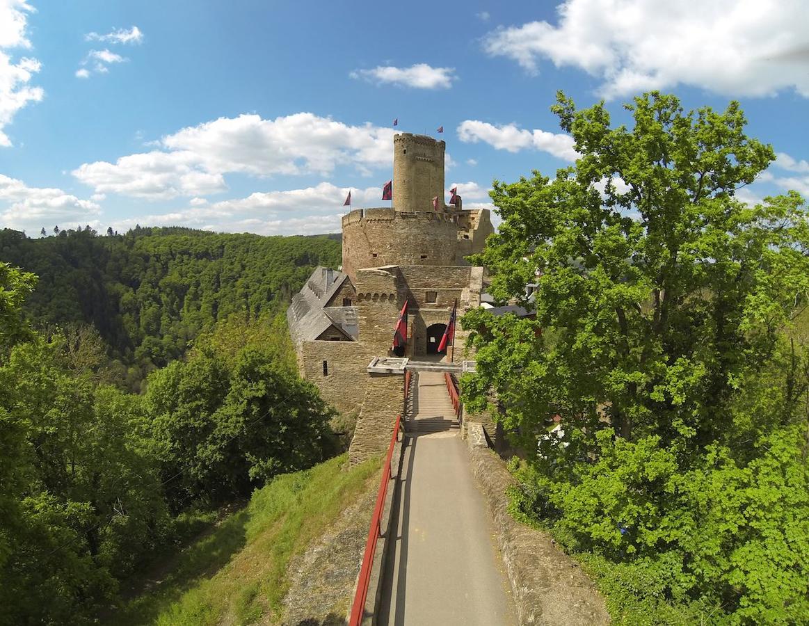 Pension "Haus Am Walde" Brodenbach, Mosel Kültér fotó